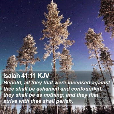 Isaiah 41:11 KJV Bible Verse Image