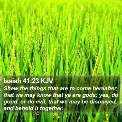 Isaiah 41:23 KJV Bible Verse Image