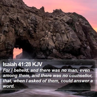 Isaiah 41:28 KJV Bible Verse Image