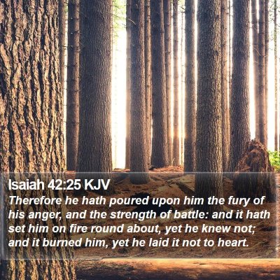 Isaiah 42:25 KJV Bible Verse Image