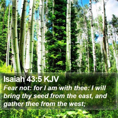 Isaiah 43:5 KJV Bible Verse Image