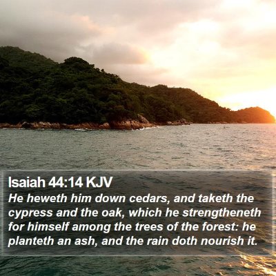 Isaiah 44:14 KJV Bible Verse Image