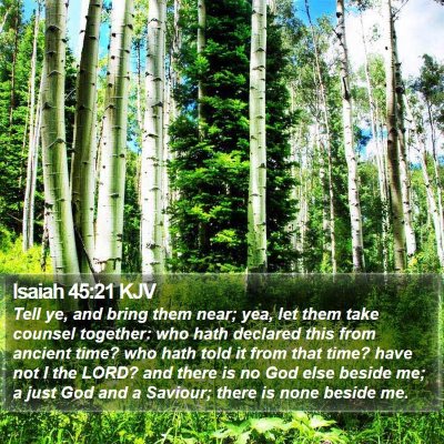 Isaiah 45:21 KJV Bible Verse Image