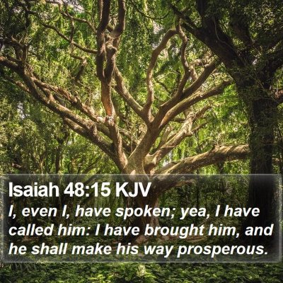 Isaiah 48:15 KJV Bible Verse Image