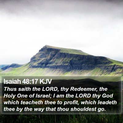 Isaiah 48:17 KJV Bible Verse Image