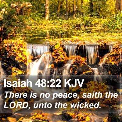 Isaiah 48:22 KJV Bible Verse Image