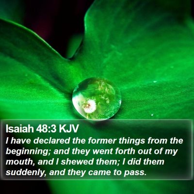 Isaiah 48:3 KJV Bible Verse Image