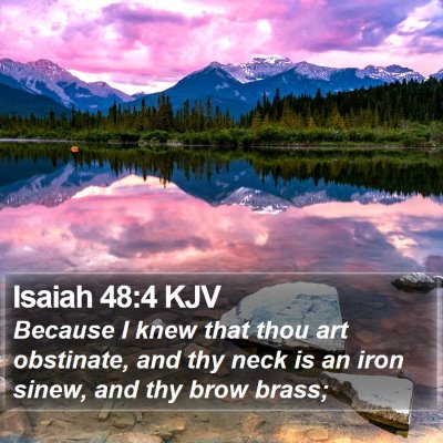 Isaiah 48:4 KJV Bible Verse Image