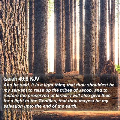 Isaiah 49:6 KJV Bible Verse Image