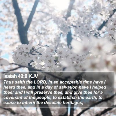 Isaiah 49:8 KJV Bible Verse Image
