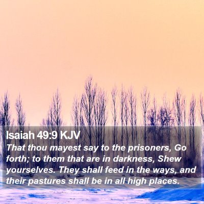 Isaiah 49:9 KJV Bible Verse Image