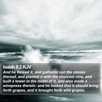 Isaiah 5:2 KJV Bible Verse Image