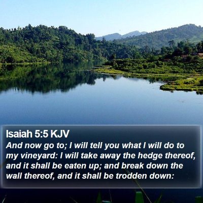 Isaiah 5:5 KJV Bible Verse Image