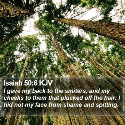 Isaiah 50:6 KJV Bible Verse Image