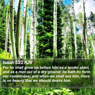 Isaiah 53:2 KJV Bible Verse Image