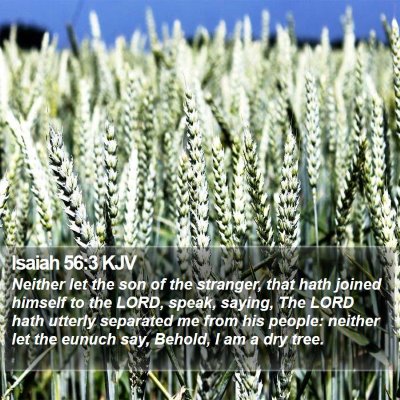 Isaiah 56:3 KJV Bible Verse Image