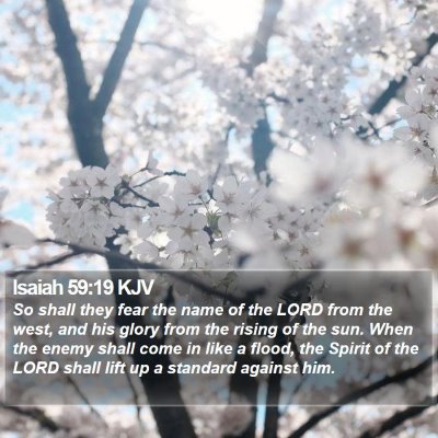 Isaiah 59:19 KJV Bible Verse Image
