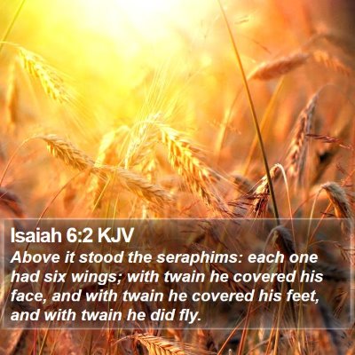Isaiah 6:2 KJV Bible Verse Image