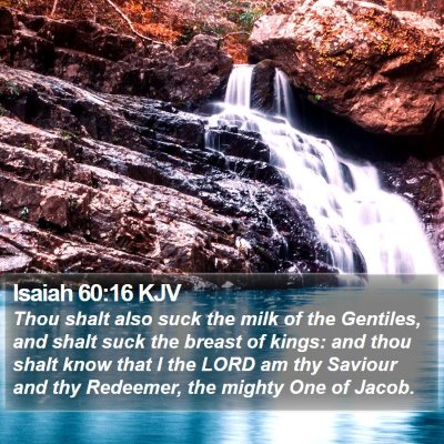 Isaiah 60:16 KJV Bible Verse Image