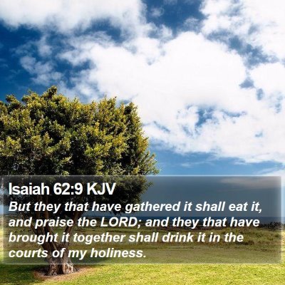 Isaiah 62:9 KJV Bible Verse Image