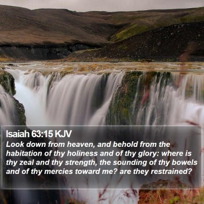 Isaiah 63:15 KJV Bible Verse Image