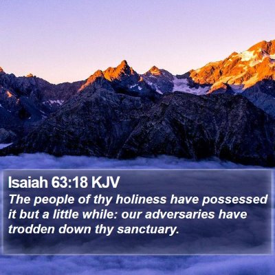 Isaiah 63:18 KJV Bible Verse Image