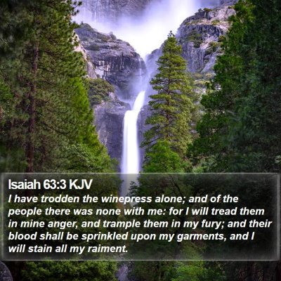 Isaiah 63:3 KJV Bible Verse Image