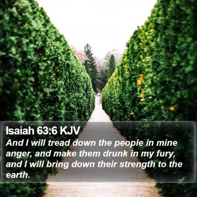 Isaiah 63:6 KJV Bible Verse Image