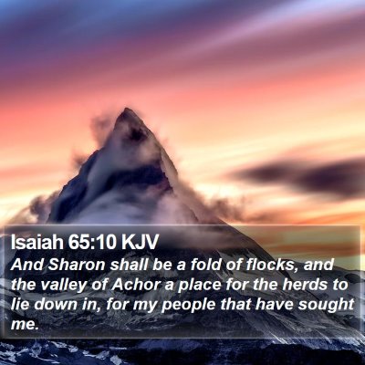 Isaiah 65:10 KJV Bible Verse Image