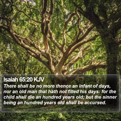 Isaiah 65:20 KJV Bible Verse Image