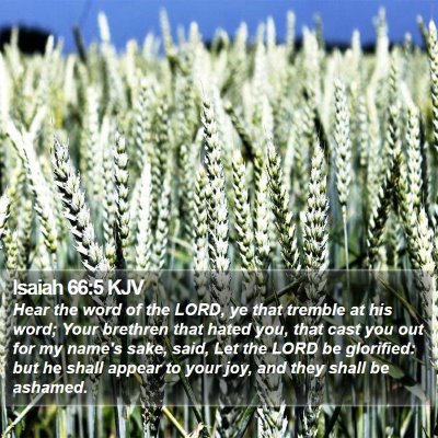 Isaiah 66:5 KJV Bible Verse Image