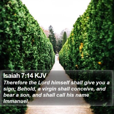Isaiah 7:14 KJV Bible Verse Image