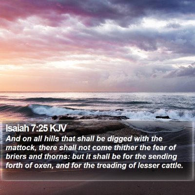 Isaiah 7:25 KJV Bible Verse Image