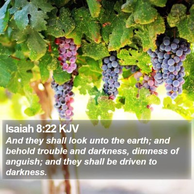 Isaiah 8:22 KJV Bible Verse Image