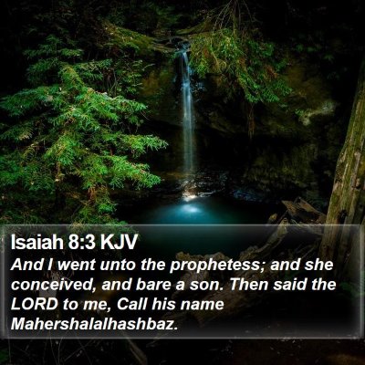 Isaiah 8:3 KJV Bible Verse Image