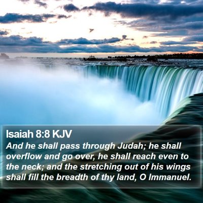 Isaiah 8:8 KJV Bible Verse Image