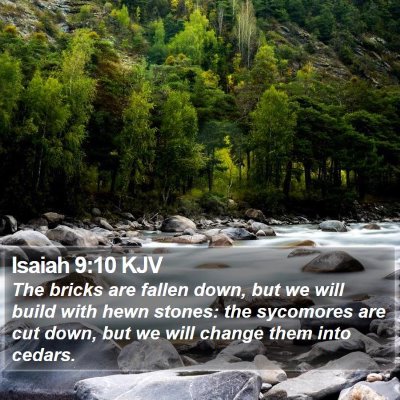 Isaiah 9:10 KJV Bible Verse Image