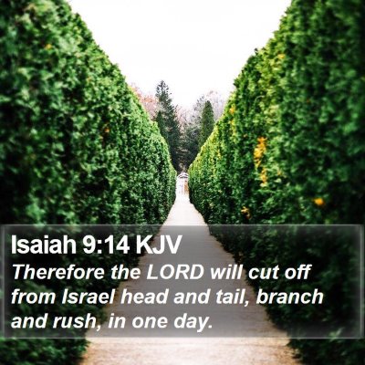 Isaiah 9:14 KJV Bible Verse Image