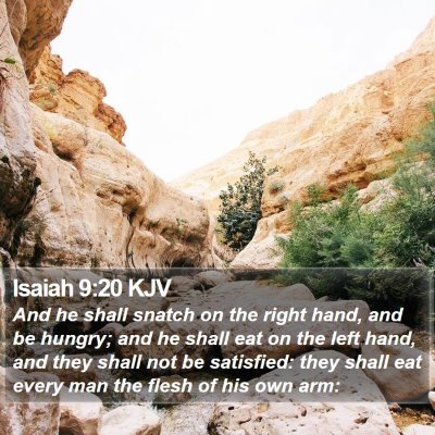 Isaiah 9:20 KJV Bible Verse Image