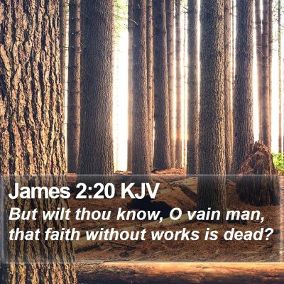 James 2:20 KJV Bible Verse Image