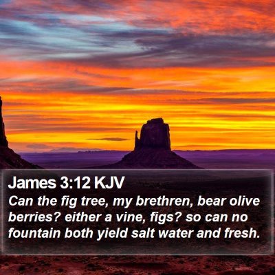 James 3:12 KJV Bible Verse Image