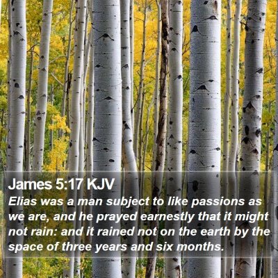James 5:17 KJV Bible Verse Image