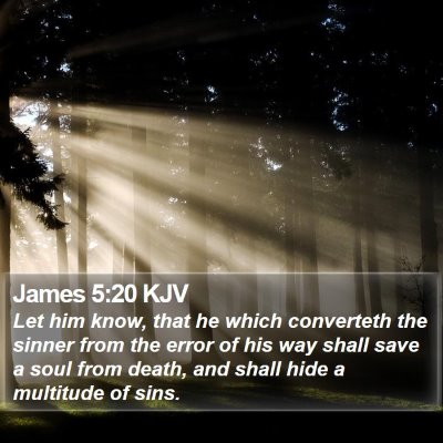 James 5:20 KJV Bible Verse Image