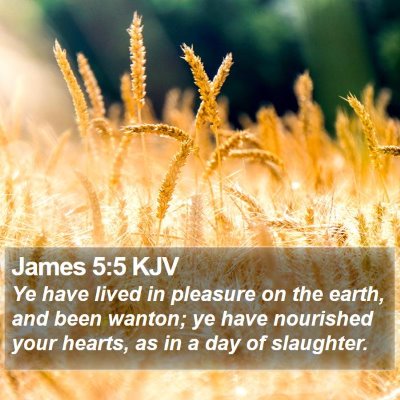 James 5:5 KJV Bible Verse Image