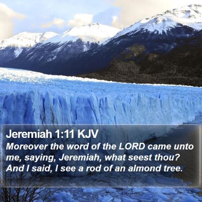 Jeremiah 1:11 KJV Bible Verse Image