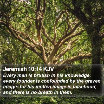 Jeremiah 10:14 KJV Bible Verse Image