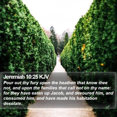 Jeremiah 10:25 KJV Bible Verse Image