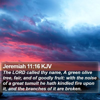 Jeremiah 11:16 KJV Bible Verse Image