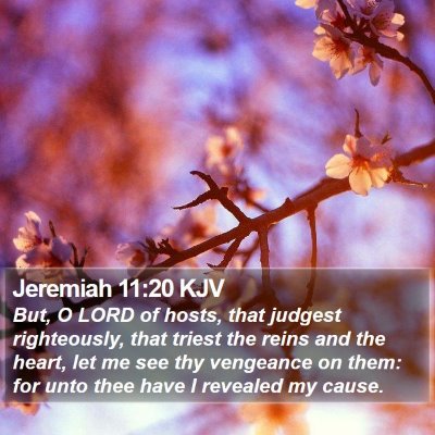 Jeremiah 11:20 KJV Bible Verse Image