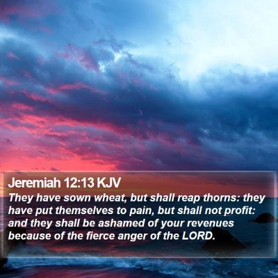 Jeremiah 12:13 KJV Bible Verse Image